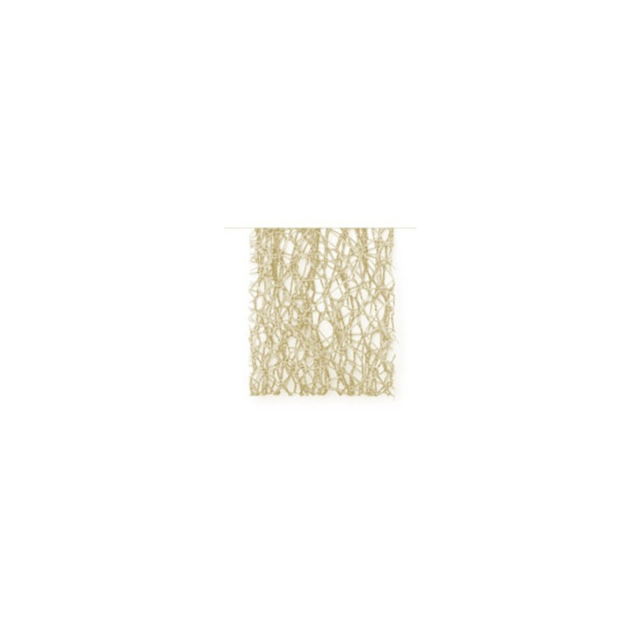 copy of 